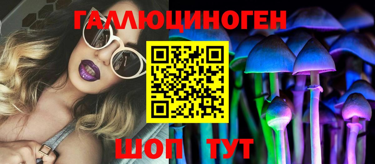 дарнет шоп  Псилоцибиновые грибы ЛСД  Вход с VPN  Ростов-на-Дону 